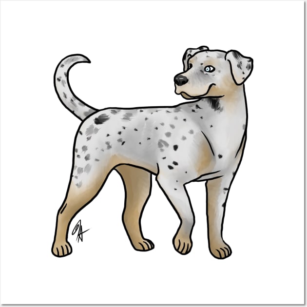 White catahoula dog new arrivals